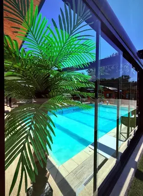 a palm tree next to a swimming pool at DUNjA Apartman in Vrnjačka Banja