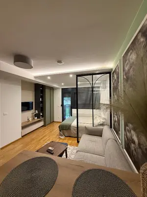 a living room with a couch and a bed at Studio Crnjanski in Jagodina
