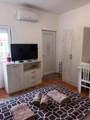 a living room with a flat screen tv and a large rug at Apartmani Bata I Seka in Vrnjačka Banja