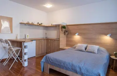 a bedroom with a bed and a desk and a kitchen at Dvoristance in Vrnjačka Banja
