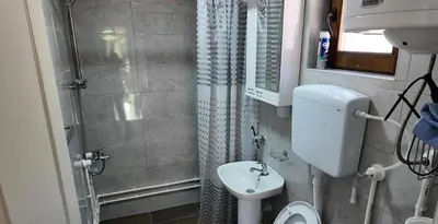a small bathroom with a toilet and a sink at Vila Stara in Pakleštica