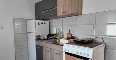 a kitchen with a stove and a white refrigerator at Vila Stara in Pakleštica