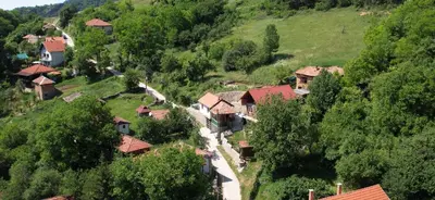 an aerial view of a small village on a hill at Vila Stara in Pakleštica