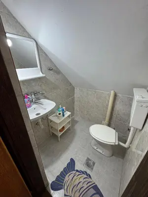 a small bathroom with a sink and a toilet at Villa Vera in Vrnjačka Banja