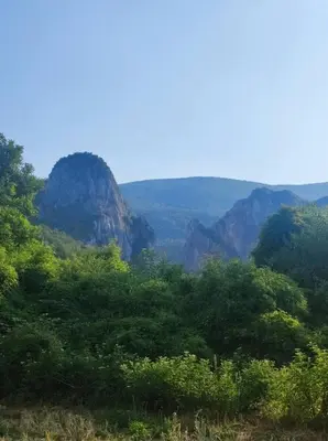 a view of a valley with trees and mountains at Konak Anja