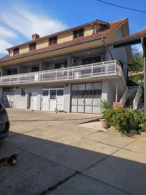a dog laying in front of a house at Zuto brdo Batinac