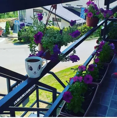 a balcony with purple flowers and a coffee cup at Apartman Smilic Lukovska banja in Lukovo