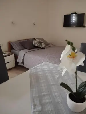 a living room with a couch and a flower in a vase at Oaza studio 2 in Soko Banja