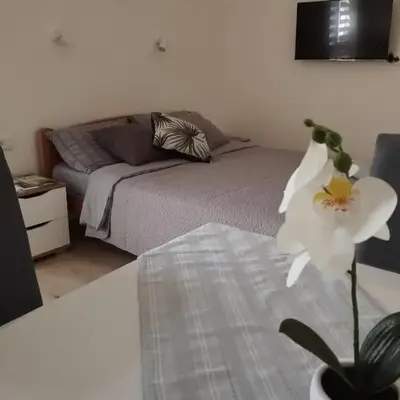 Oaza studio 2