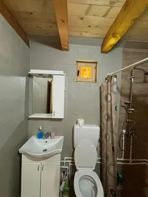 a bathroom with a toilet and a sink and a shower at Vikendice Jovicic in Bukorovac