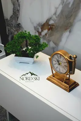 a clock and a potted plant on a table at Nord Ski - SPA apartman Kraljevi Čardaci in Kopaonik