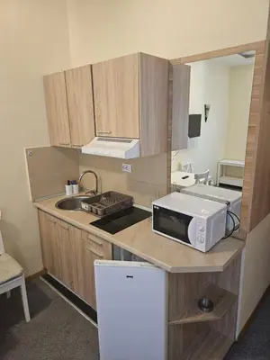 a small kitchen with a microwave and a sink at APEX Konaci Koznik in Kopaonik