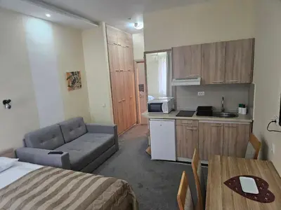 a room with a bed and a kitchen with a couch at APEX Konaci Koznik in Kopaonik