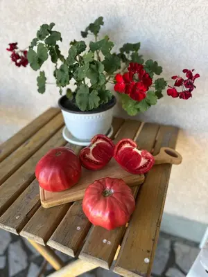 a wooden table with tomatoes and a potted plant at Travel Rest in Bujanovac