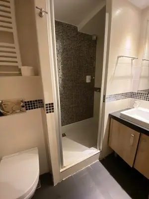 a bathroom with a shower and a toilet and a sink at Apartmani Vrh Konaci in Kopaonik