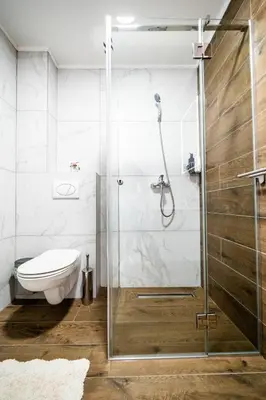a bathroom with a shower and a toilet at Park Studio 19 in Vrnjačka Banja