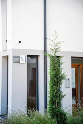 a small pine tree in front of a building at Park Studio 19 in Vrnjačka Banja