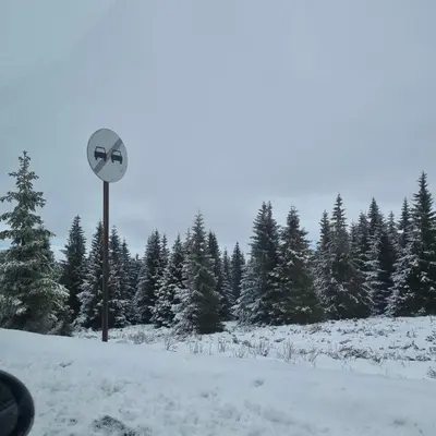 a sign in the snow with trees in the background at Apartman President Kop in Kopaonik