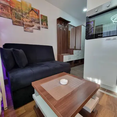 a living room with a couch and a table at Apartman President Kop in Kopaonik