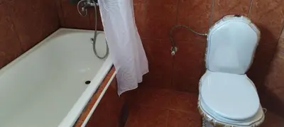 a bathroom with a toilet and a shower with a shower curtain at Stamenkovic apartman in Vranje