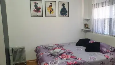 a bedroom with a bed with a purple blanket at Studio apartman BB4 in Vrnjačka Banja