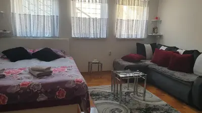 a living room with a bed and a couch at Studio apartman BB4 in Vrnjačka Banja