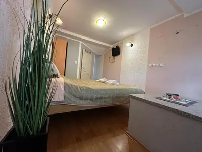 a room with a bed and a potted plant at Studio x2 in Jošanička Banja