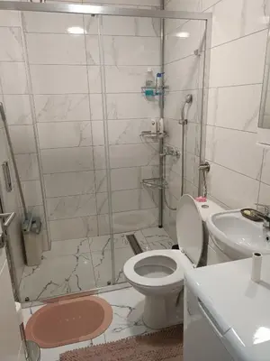 a bathroom with a shower and a toilet and a sink at Lipa in Vrnjačka Banja