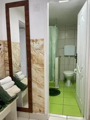 a bathroom with a toilet and a sink and a mirror at Apartmani Stevanovic in Despotovac