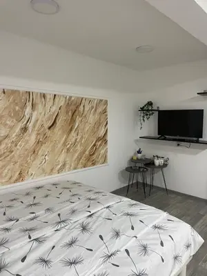 a white bedroom with a bed and a tv at Apartmani Stevanovic in Despotovac