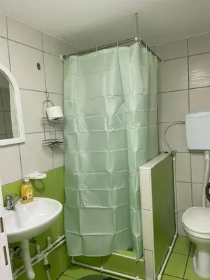 a bathroom with a shower and a sink and a toilet at Apartmani Stevanovic in Despotovac