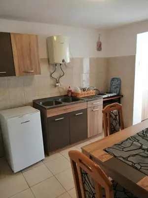 a kitchen with a sink and a table with a tableablish at Apartmani Vila Pola in Soko Banja