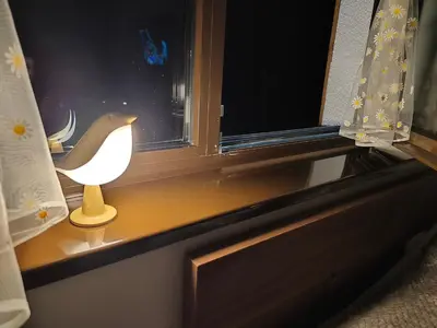 a lamp sitting on a window sill next to a window at Daisy Apart SKI OUT SKI IN Vila Bela Reka Brzece in Brzeće