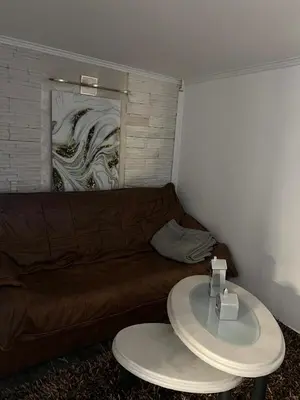 a living room with a couch and a table at Diamona Lux Apartman 1 in Donja Toponica