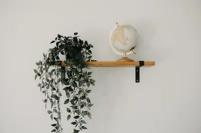 a shelf with a globe and a plant on it at SKY VIEW Apartment - Ski resort Kopaonik in Cajetina