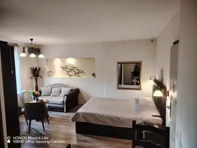 a bedroom with a bed and a couch in a room at Sunce in Ribarska Banja