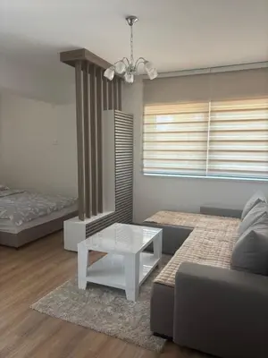 a living room with a couch and a table at Apartman A2 in Vrnjačka Banja