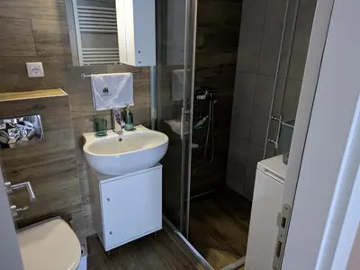 a bathroom with a toilet and a sink and a shower at Silverpine, Kopaonik in Kopaonik