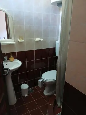 a bathroom with a toilet and a sink at KAMENICA Stara Planina in Dimitrovgrad