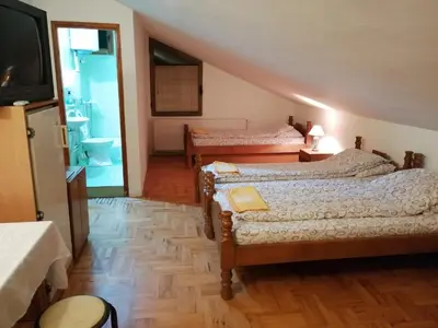 a room with two beds and a television and a bathroom at Pansion Velickovic in Niška Banja
