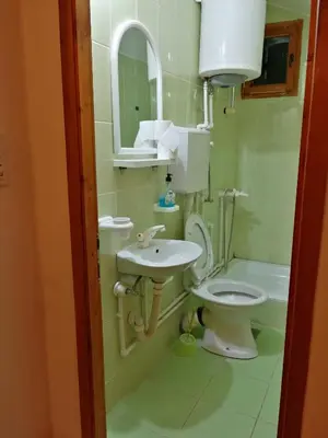 a bathroom with a toilet and a sink and a mirror at Pansion Velickovic in Niška Banja