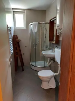 a bathroom with a shower and a toilet and a sink at Apartman Aleksandar AS in Brzeće