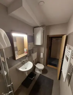 a bathroom with a white toilet and a sink at Apartman Aleksandar AS in Brzeće