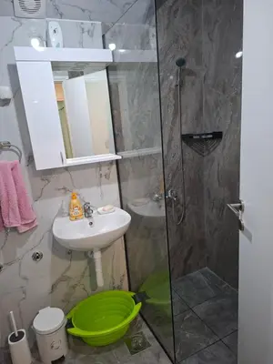 a bathroom with a sink and a shower at Apartman Pesic Niš in Niš