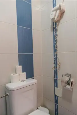 a bathroom with a toilet and a phone on the wall at Apartmani Šumadija 17 in Vrnjačka Banja