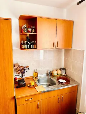 a kitchen with a sink and wooden cabinets at Apartman Aki in Vlasotince