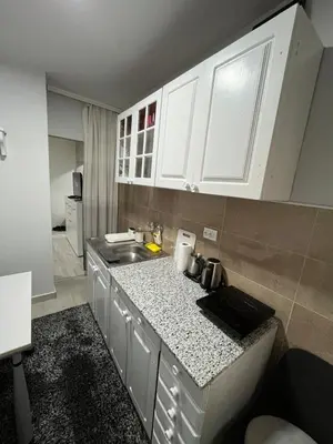 a small kitchen with white cabinets and a sink at Golding Lux in Soko Banja