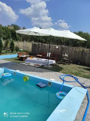 a swimming pool with an umbrella and a picnic table at Etno Deša Apartmani in Dimitrovgrad