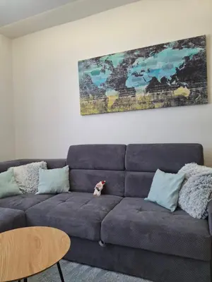 a couch with a dog sitting on it in a living room at Kopaonik,President kop Katarina free wellness&spa in Kopaonik