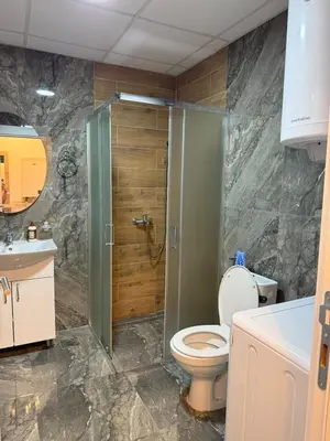 a bathroom with a shower and a toilet and a sink at Nest24- cozy apartment with terrace and private garage in Niš